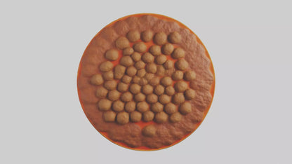 3D model Meatball platter model VR / AR / low-poly