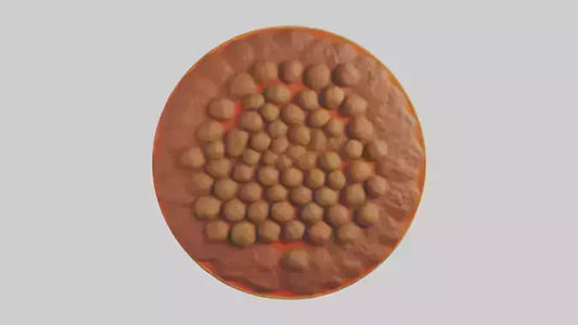 3D model Meatball platter model VR / AR / low-poly