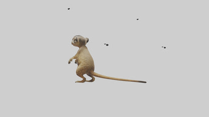 3D model Meerkat cub watching model VR / AR / low-poly