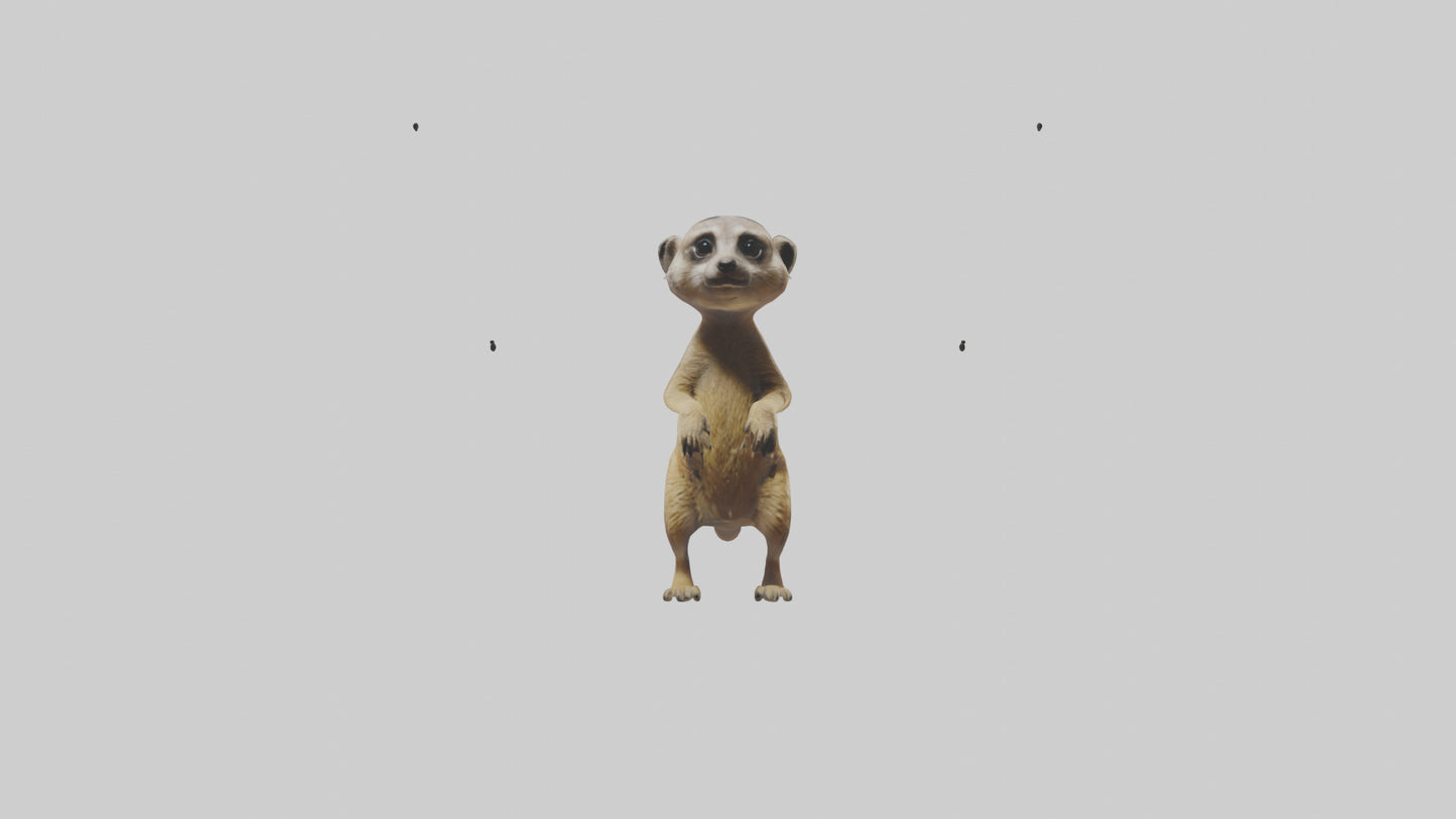 3D model Meerkat cub watching model VR / AR / low-poly