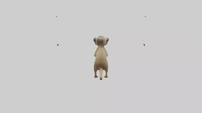 3D model Meerkat cub watching model VR / AR / low-poly