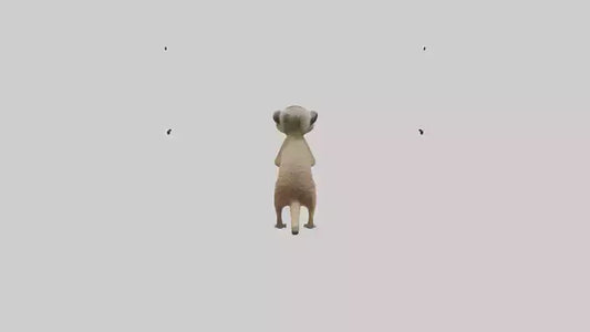 3D model Meerkat cub watching model VR / AR / low-poly