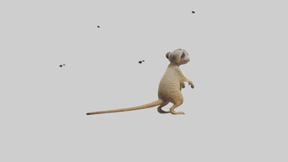 3D model Meerkat cub watching model VR / AR / low-poly