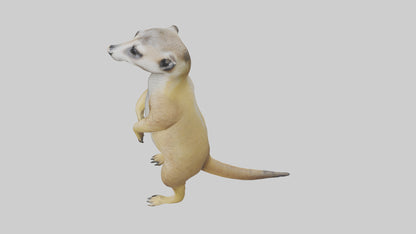 3D model Meerkat standing guard model VR / AR / low-poly