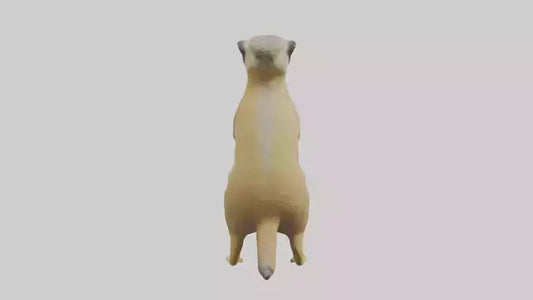 3D model Meerkat standing guard model VR / AR / low-poly