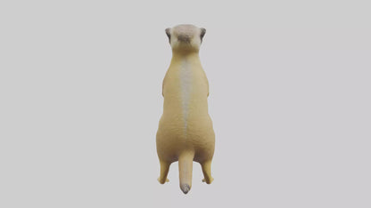3D model Meerkat standing guard model VR / AR / low-poly
