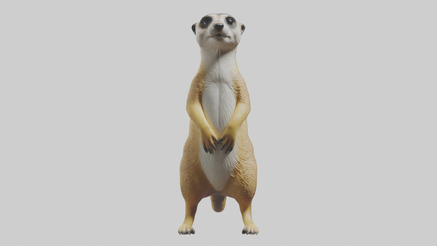 3D model Meerkat standing guard model VR / AR / low-poly