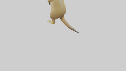 3D model Meerkat standing guard model VR / AR / low-poly