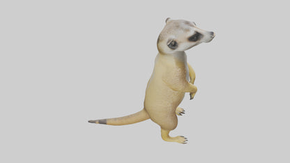 3D model Meerkat standing guard model VR / AR / low-poly