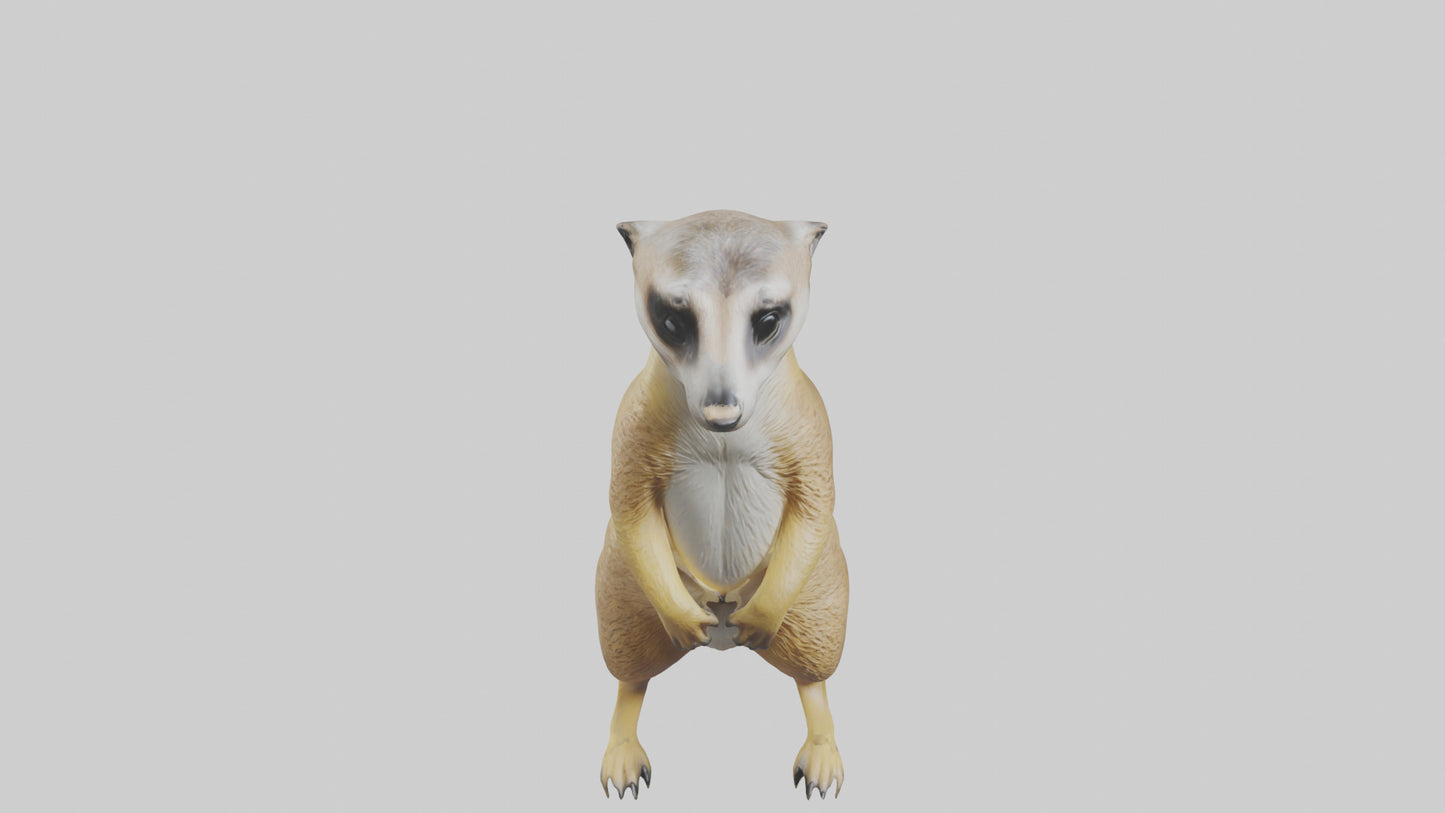 3D model Meerkat standing guard model VR / AR / low-poly