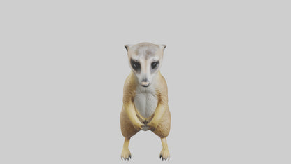 3D model Meerkat standing guard model VR / AR / low-poly