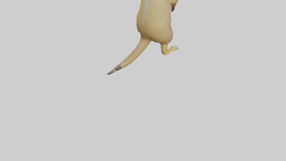 3D model Meerkat standing guard model VR / AR / low-poly