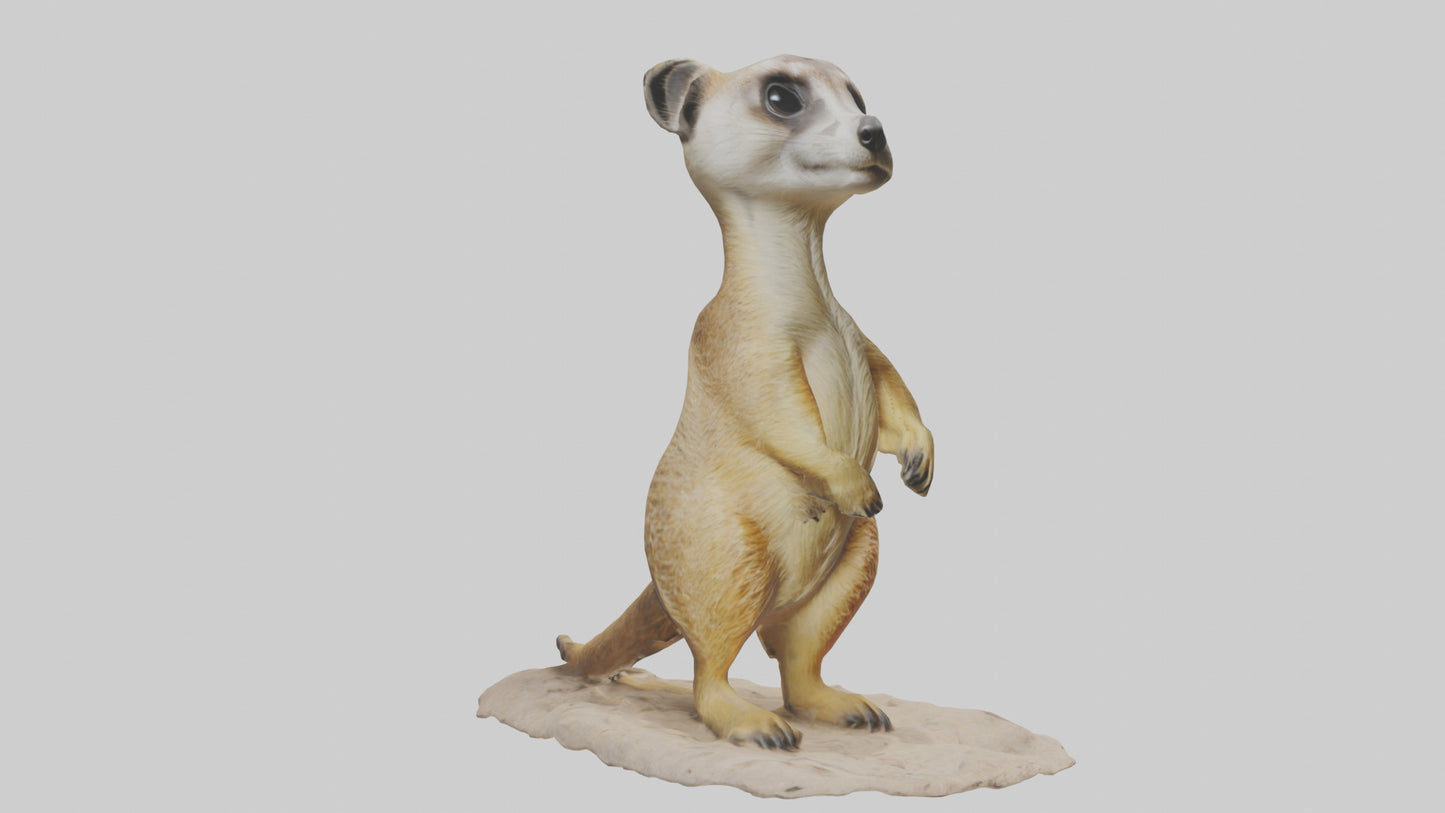 3D model Meerkat standing model VR / AR / low-poly