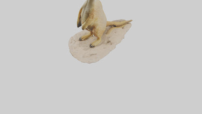 3D model Meerkat standing model VR / AR / low-poly