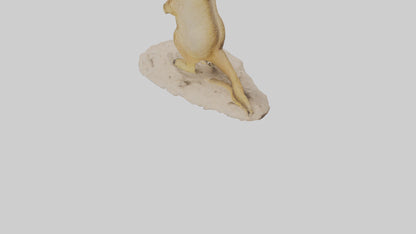 3D model Meerkat standing model VR / AR / low-poly