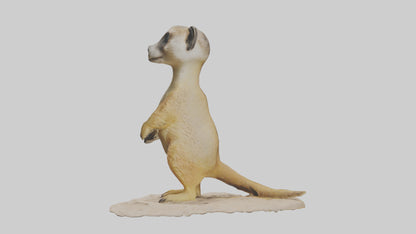 3D model Meerkat standing model VR / AR / low-poly