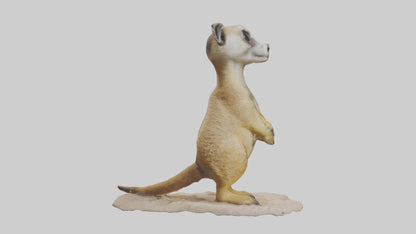 3D model Meerkat standing model VR / AR / low-poly