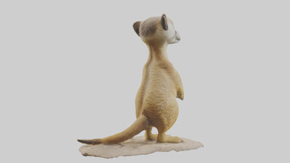 3D model Meerkat standing model VR / AR / low-poly