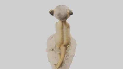3D model Meerkat standing model VR / AR / low-poly