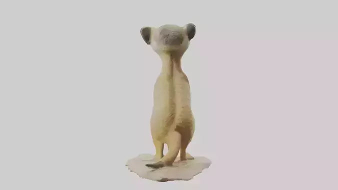 3D model Meerkat standing model VR / AR / low-poly