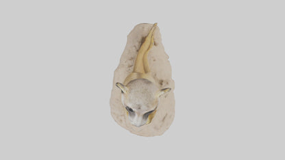 3D model Meerkat standing model VR / AR / low-poly