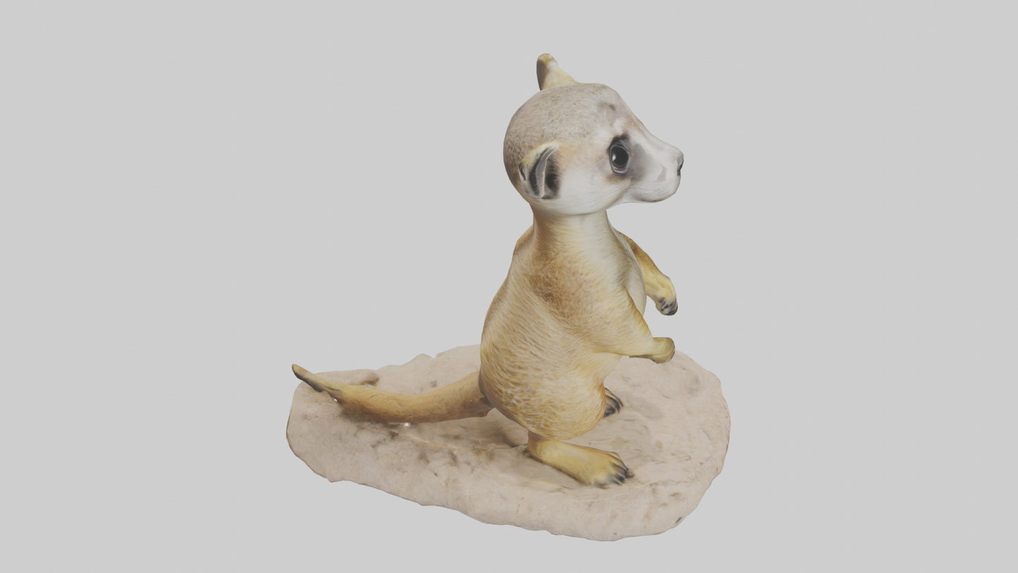 3D model Meerkat standing model VR / AR / low-poly