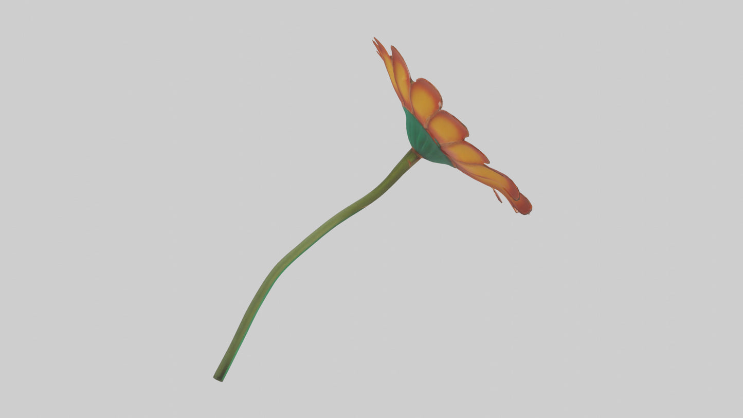 Mexican Hat Flower model VR / AR / low-poly