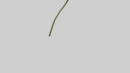 Mexican Hat Flower model VR / AR / low-poly