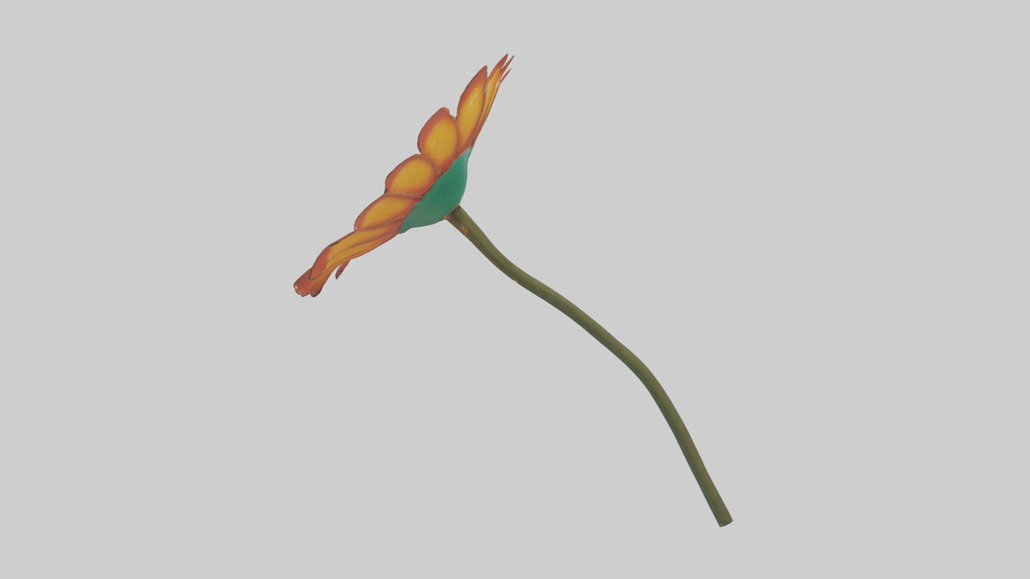 Mexican Hat Flower model VR / AR / low-poly