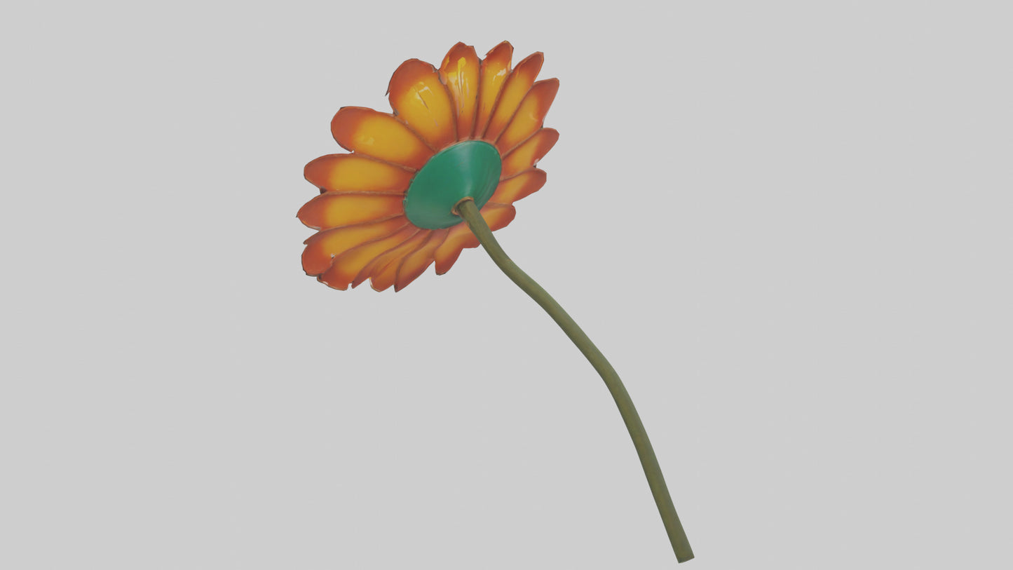 Mexican Hat Flower model VR / AR / low-poly