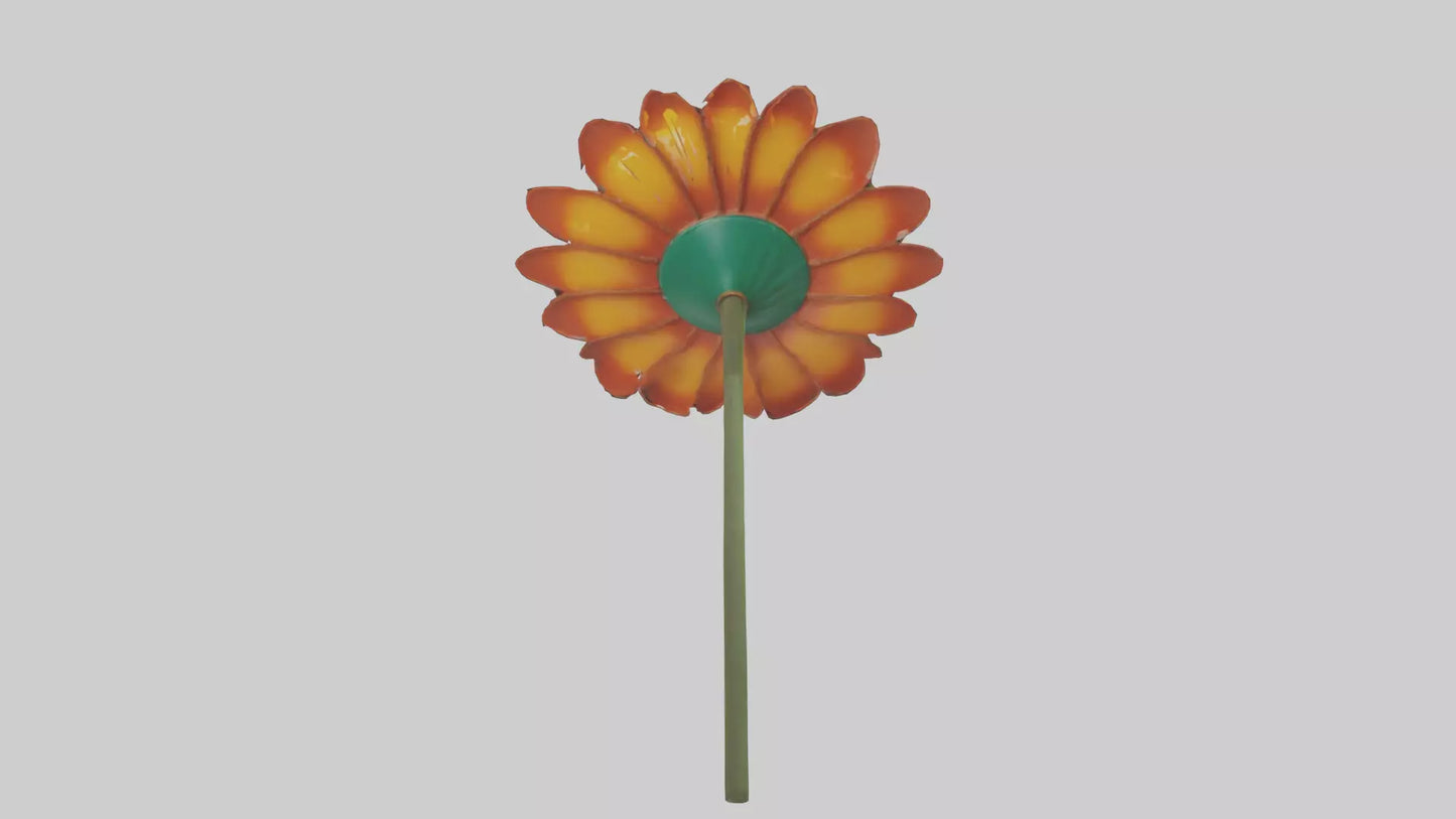Mexican Hat Flower model VR / AR / low-poly