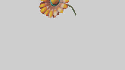 Mexican Hat Flower model VR / AR / low-poly