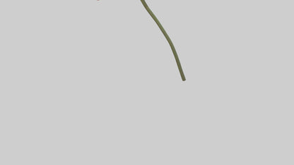 Mexican Hat Flower model VR / AR / low-poly