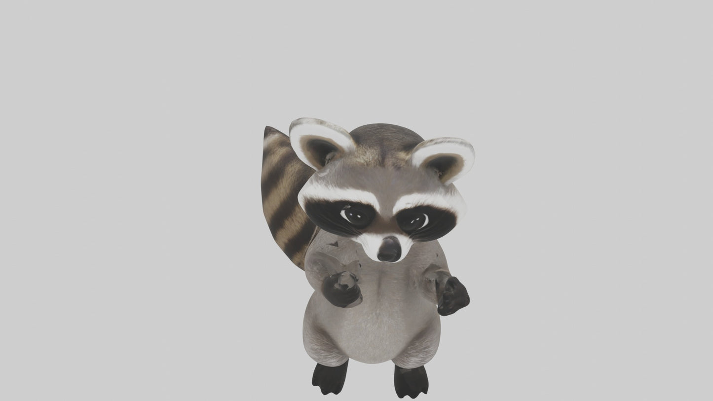 3D model Mexican Raccoon VR / AR / low-poly