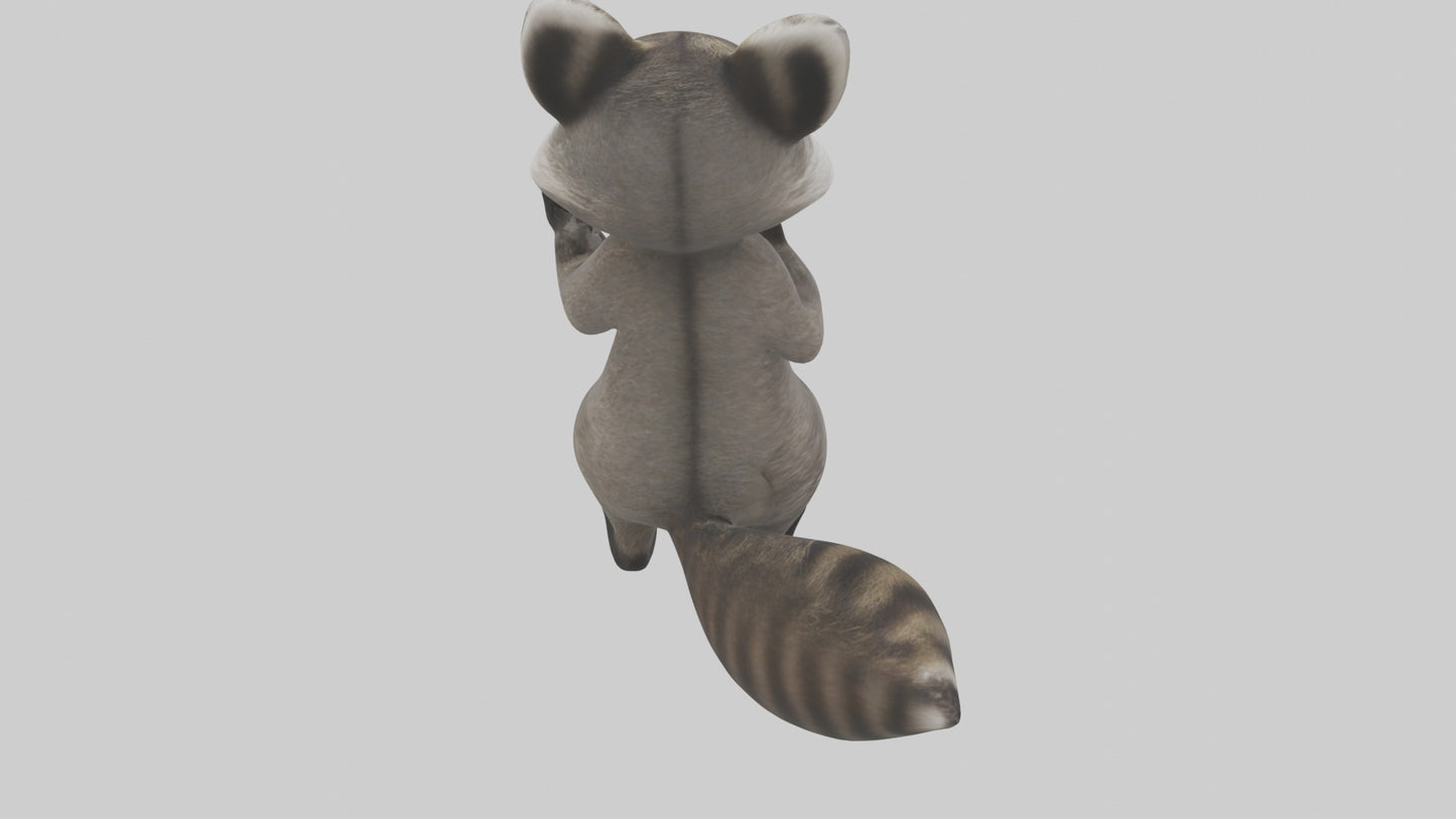 3D model Mexican Raccoon VR / AR / low-poly