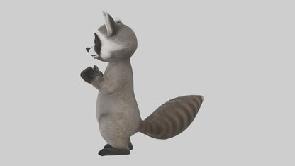 3D model Mexican Raccoon VR / AR / low-poly
