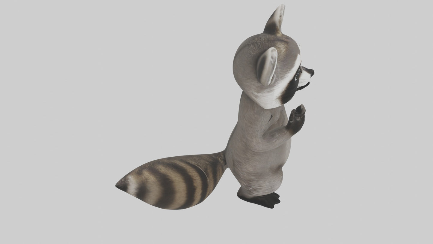 3D model Mexican Raccoon VR / AR / low-poly