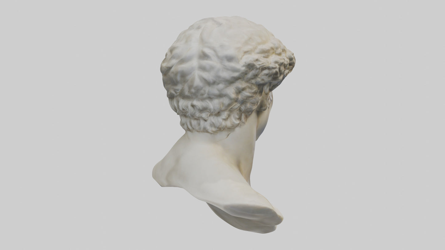 Michelangelos David bust model VR / AR / low-poly