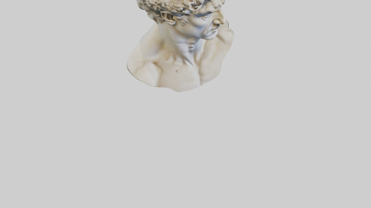 Michelangelos David bust model VR / AR / low-poly
