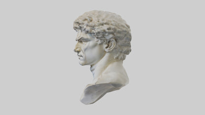 Michelangelos David bust model VR / AR / low-poly