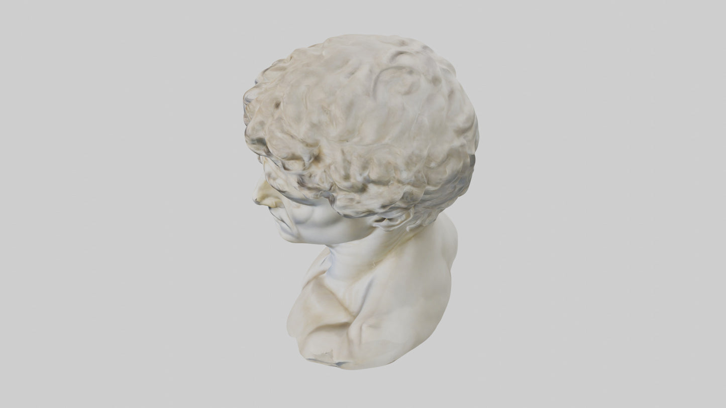 Michelangelos David bust model VR / AR / low-poly