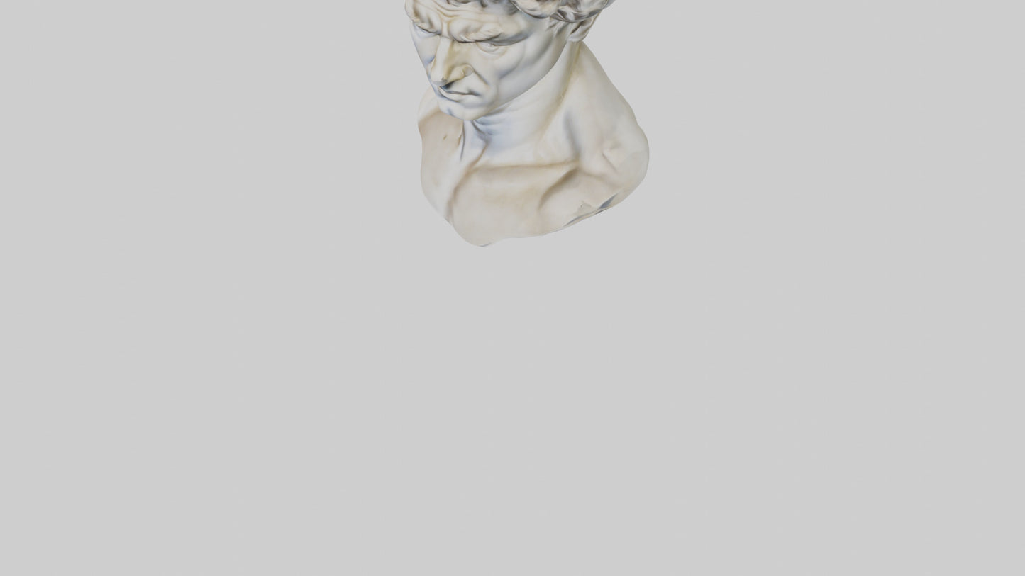 Michelangelos David bust model VR / AR / low-poly