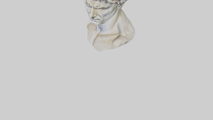 Michelangelos David bust model VR / AR / low-poly