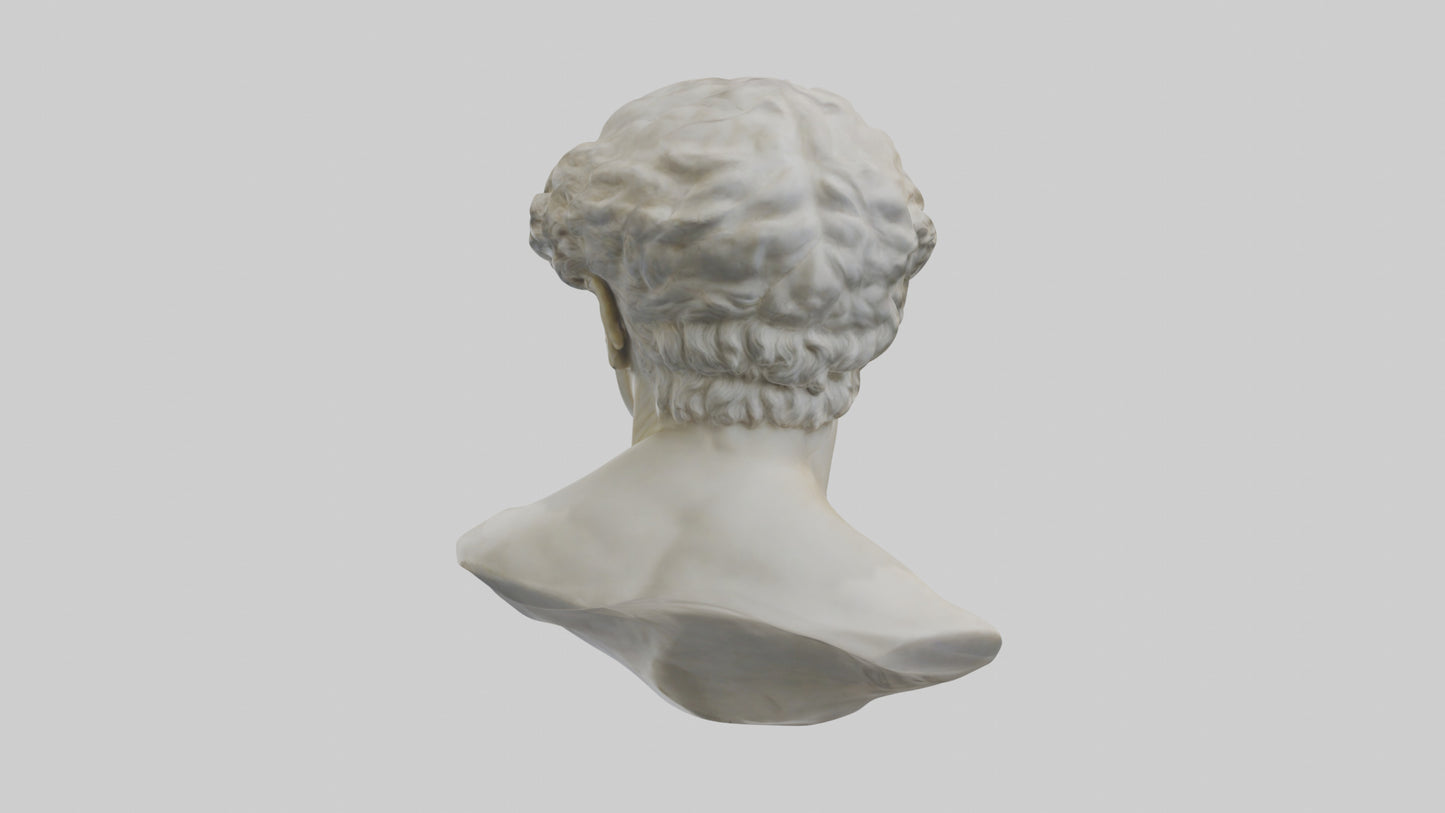 Michelangelos David bust model VR / AR / low-poly
