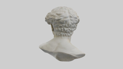 Michelangelos David bust model VR / AR / low-poly