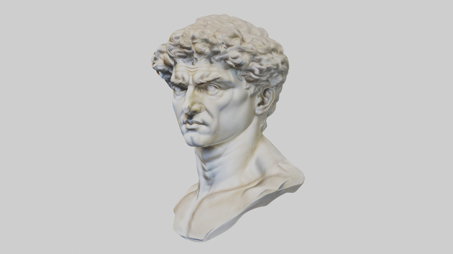 Michelangelos David bust model VR / AR / low-poly