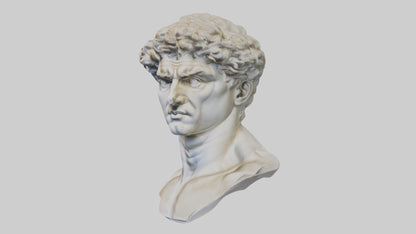 Michelangelos David bust model VR / AR / low-poly