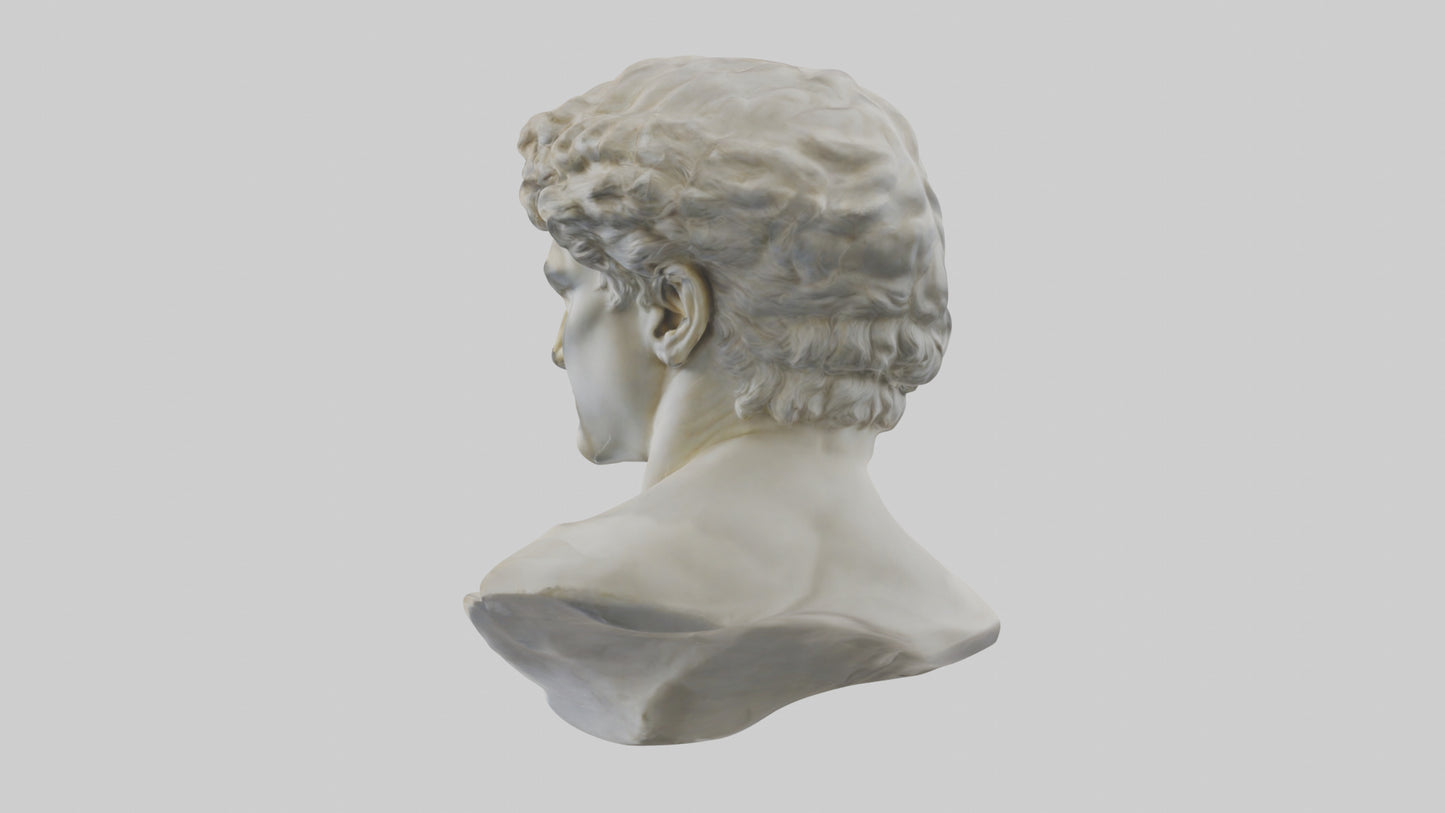 Michelangelos David bust model VR / AR / low-poly