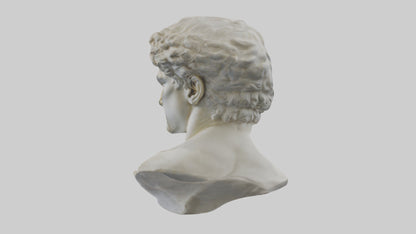 Michelangelos David bust model VR / AR / low-poly