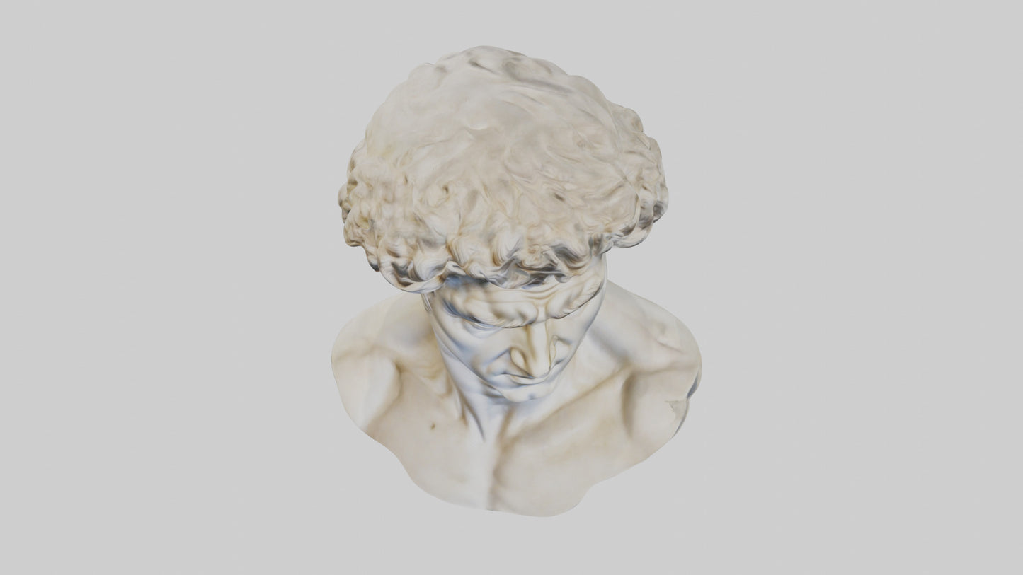 Michelangelos David bust model VR / AR / low-poly